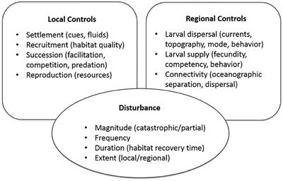 Exploring the Ecology of Deep-Sea Hydrothermal Vents in a Metacommunity Framework